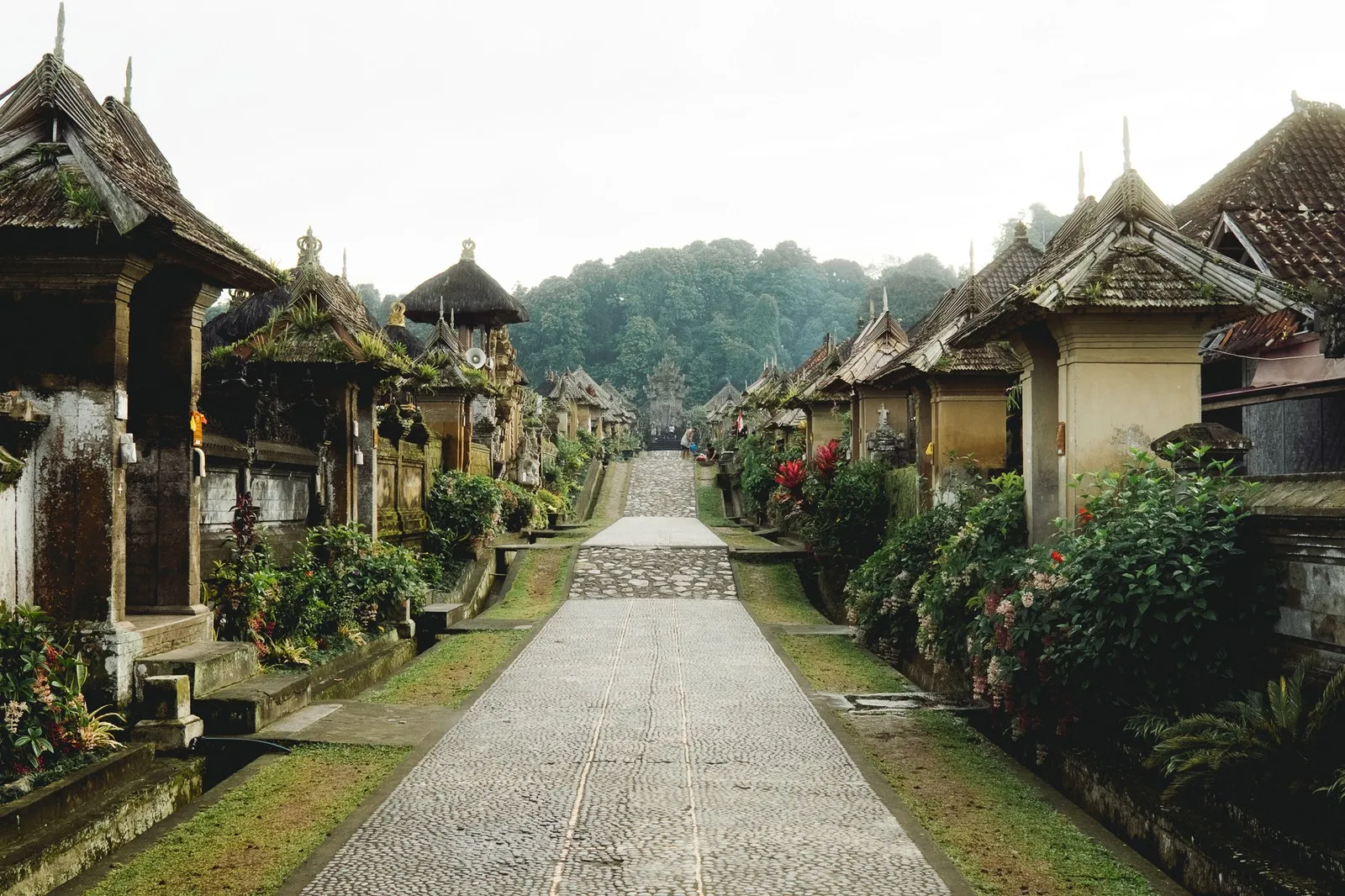 Witness Penglipuran Village Through the Eyes of a Local Resident